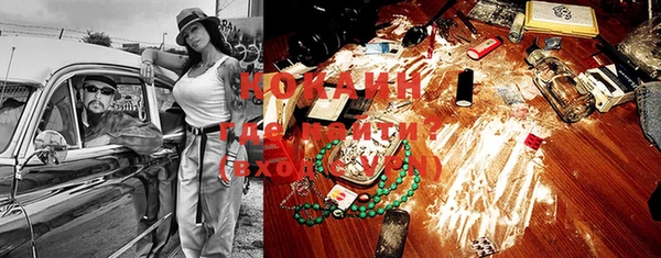 прущие крисы Гусев