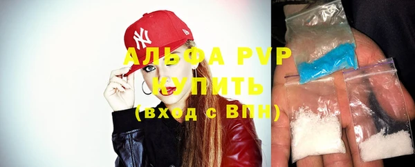 прущие крисы Гусев